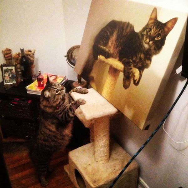 morning picdump 70 pics 21.html - 70 HD Photos | Premium Gallery 2014