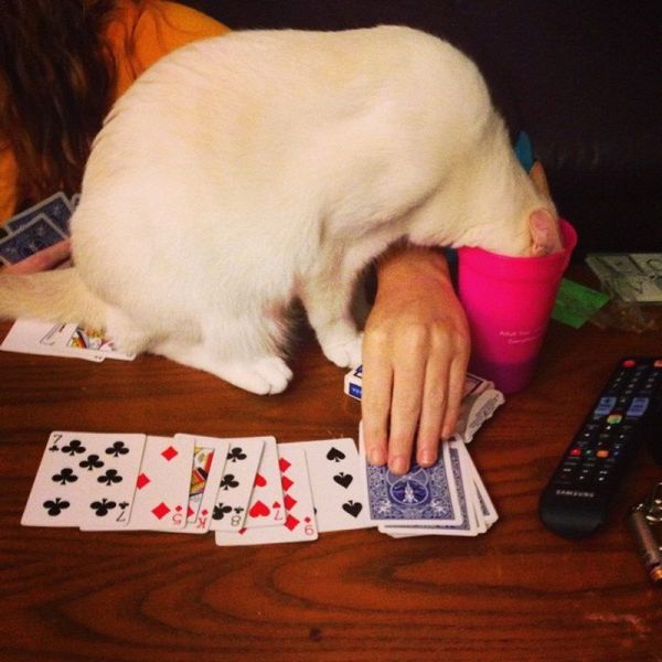 morning picdump 70 pics 21.html - 70 HD Photos | Premium Gallery 2014