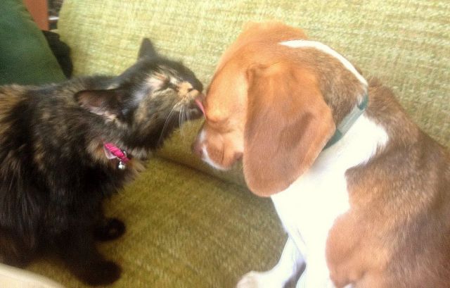 morning picdump 70 pics 21.html - 70 HD Photos | Premium Gallery 2014