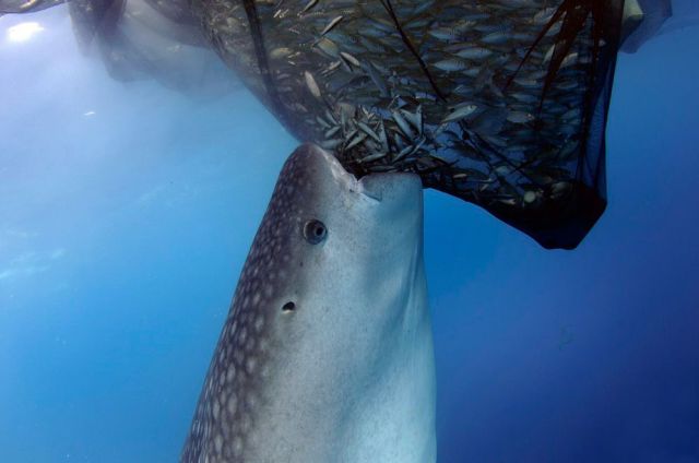 morning picdump 56 pics 24.html - 56 HD Photos | Premium Gallery 2014