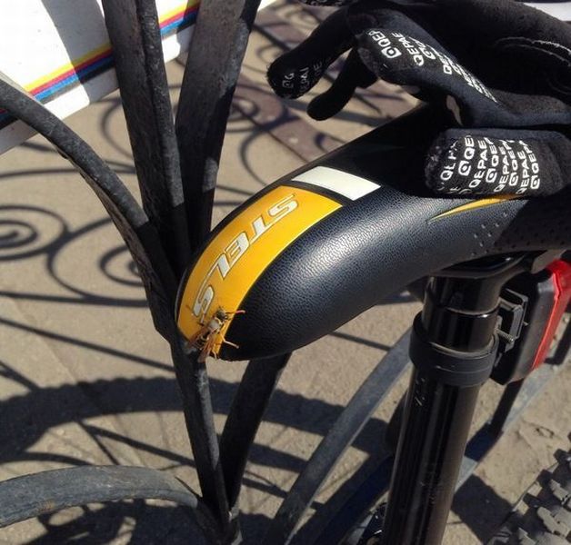 morning picdump 56 pics 24.html - 56 HD Photos | Premium Gallery 2014