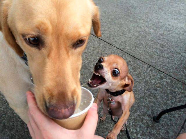 morning picdump 56 pics 24.html - 56 HD Photos | Premium Gallery 2014