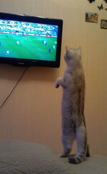 morning picdump 56 pics 24.html - 56 HD Photos | Premium Gallery 2014