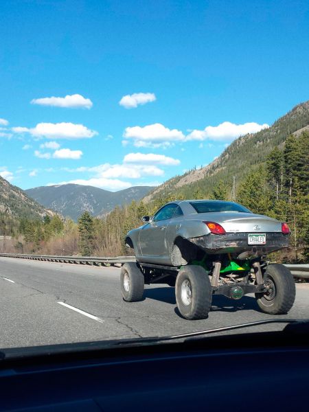 morning picdump 56 pics 24.html - 56 HD Photos | Premium Gallery 2014