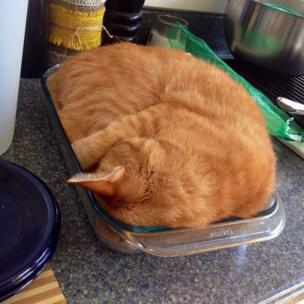 morning picdump 56 pics 24.html - 56 HD Photos | Premium Gallery 2014