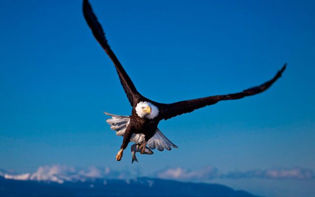 morning picdump 55 pics 16.html - 55 HD Photos | Premium Gallery 2014