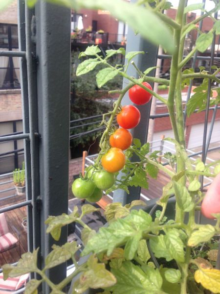 morning picdump 55 pics 16.html - 55 HD Photos | Premium Gallery 2014