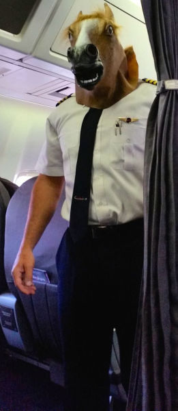 Even Work Has Its Amusing Moments