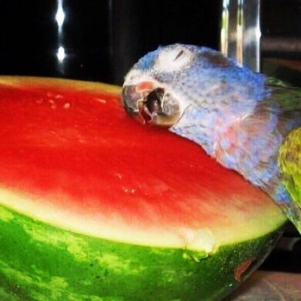 Morning Picdump