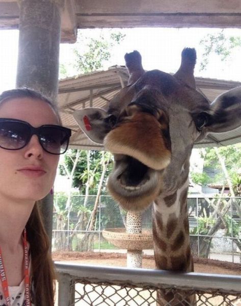 morning picdump 58 pics 13.html - 58 HD Photos | Premium Gallery 2014