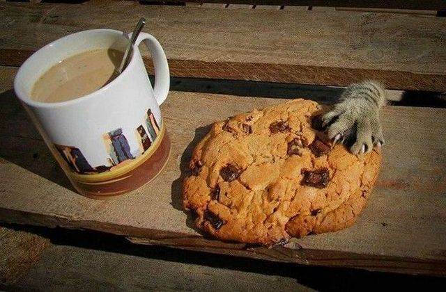 morning picdump 58 pics 13.html - 58 HD Photos | Premium Gallery 2014