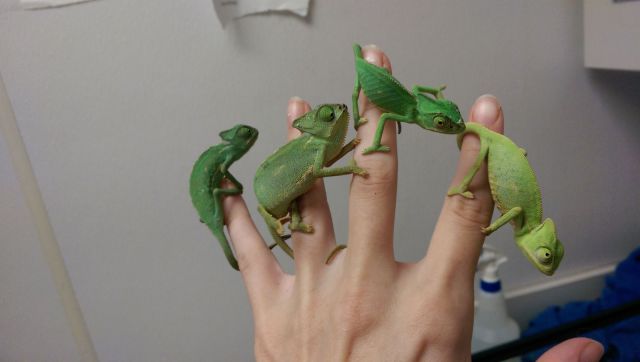 morning picdump 59 pics 12.html - 59 HD Photos | Premium Gallery 2014