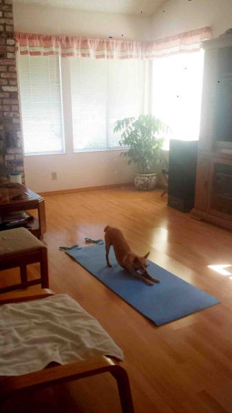 morning picdump 59 pics 12.html - 59 HD Photos | Premium Gallery 2014