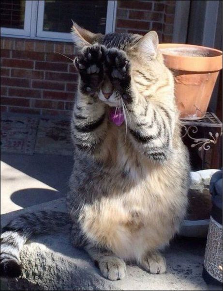 morning picdump 59 pics 12.html - 59 HD Photos | Premium Gallery 2014