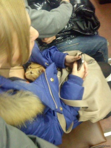 morning picdump 59 pics 12.html - 59 HD Photos | Premium Gallery 2014