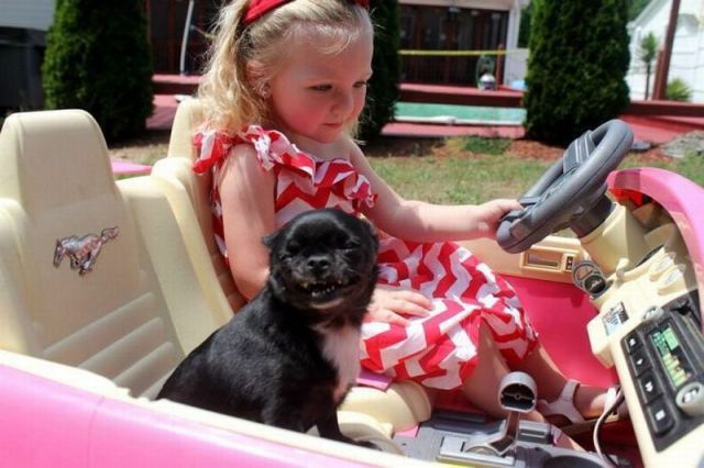 morning picdump 59 pics 12.html - 59 HD Photos | Premium Gallery 2014