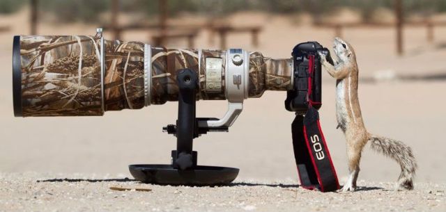 morning picdump 57 pics 2.html - 57 HD Photos | Premium Gallery 2014