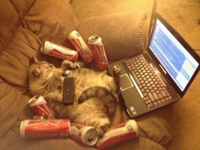 morning picdump 57 pics 2.html - 57 HD Photos | Premium Gallery 2014