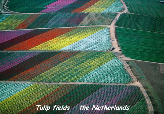 morning picdump 57 pics 2.html - 57 HD Photos | Premium Gallery 2014