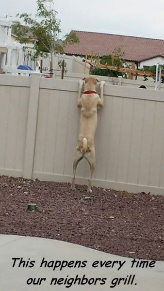 morning picdump 57 pics 2.html - 57 HD Photos | Premium Gallery 2014