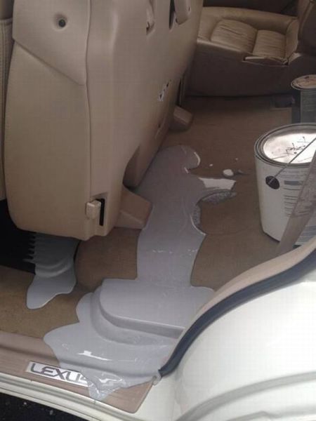 Morning Picdump