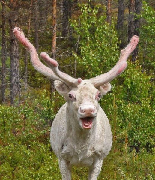Morning Picdump