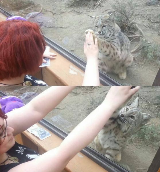 Morning Picdump