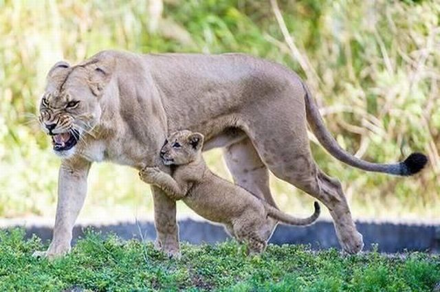 Morning Picdump