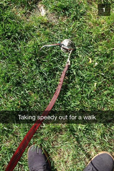 Morning Picdump
