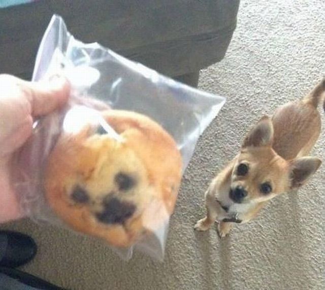 Morning Picdump