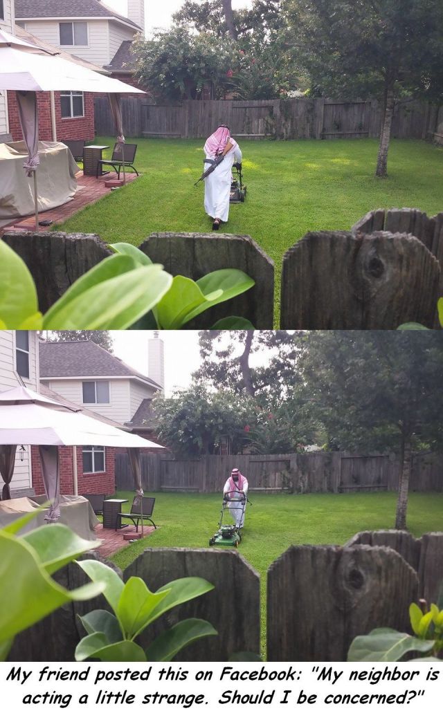 Morning Picdump