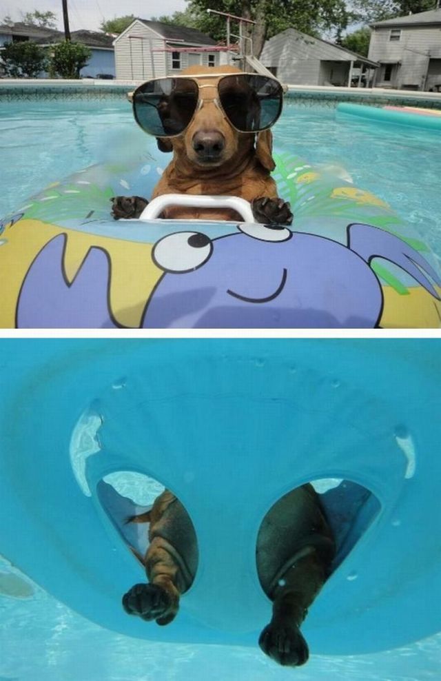 Morning Picdump