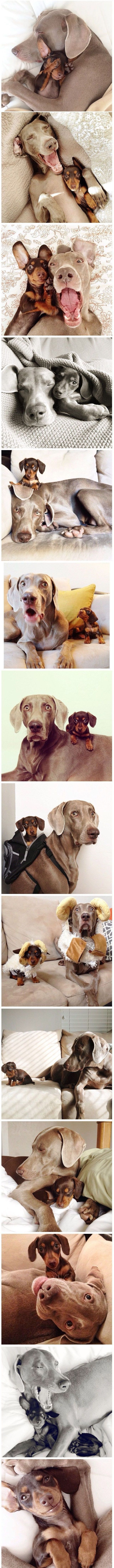 Morning Picdump