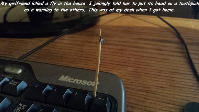 morning picdump 62 pics 23.html - 62 HD Photos | Premium Gallery 2014