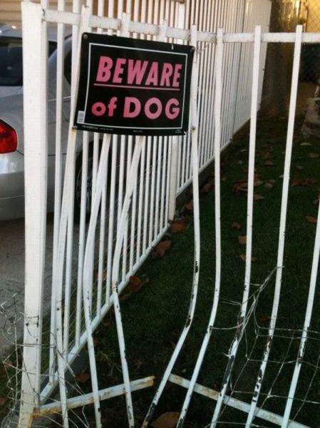 morning picdump 62 pics 23.html - 62 HD Photos | Premium Gallery 2014
