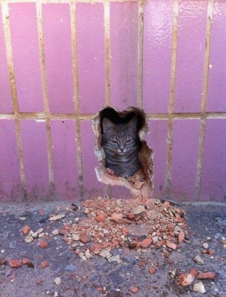 morning picdump 62 pics 23.html - 62 HD Photos | Premium Gallery 2014
