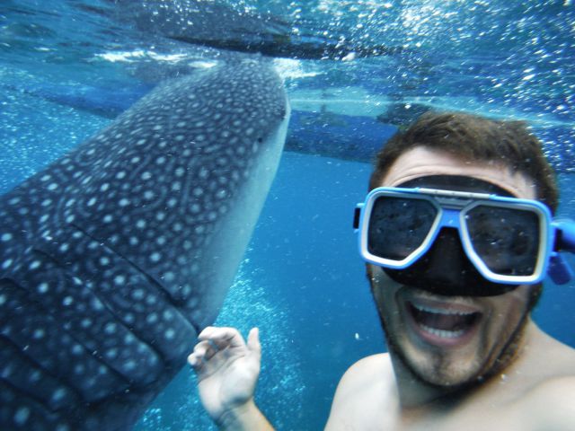 morning picdump 62 pics 23.html - 62 HD Photos | Premium Gallery 2014