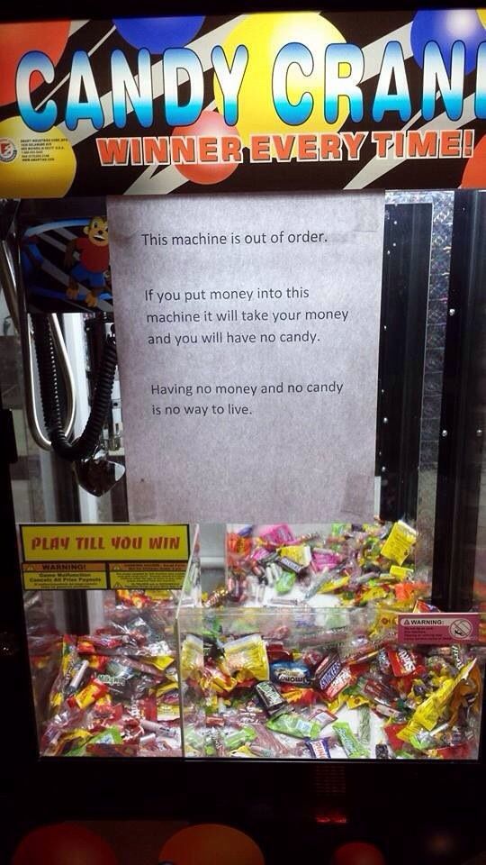 Morning Picdump