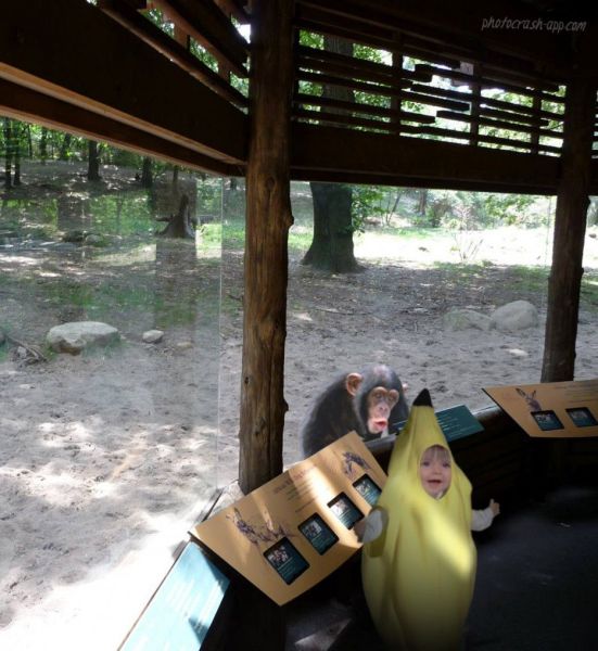morning picdump 54 pics 24.html - 54 HD Photos | Premium Gallery 2014