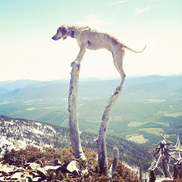 morning picdump 54 pics 24.html - 54 HD Photos | Premium Gallery 2014
