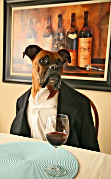 Daily Picdump