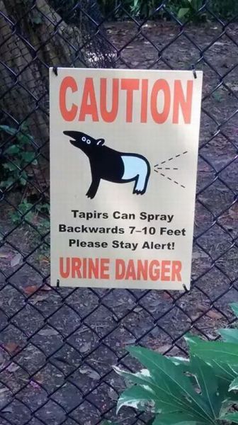 morning picdump 55 pics 9.html - 55 HD Photos | Premium Gallery 2014