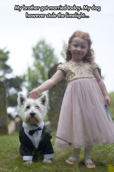 morning picdump 55 pics 9.html - 55 HD Photos | Premium Gallery 2014