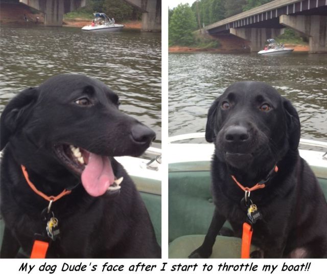 morning picdump 55 pics 9.html - 55 HD Photos | Premium Gallery 2014