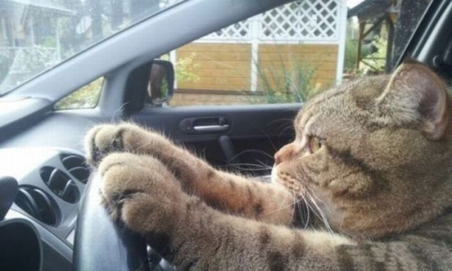 Morning Picdump