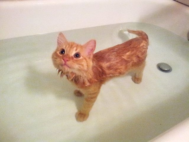 Morning Picdump