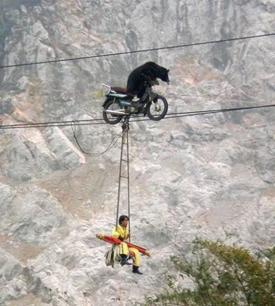 Morning Picdump