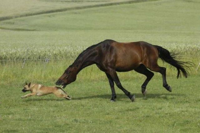 morning picdump 54 pics 20.html - 54 HD Photos | Premium Gallery 2014