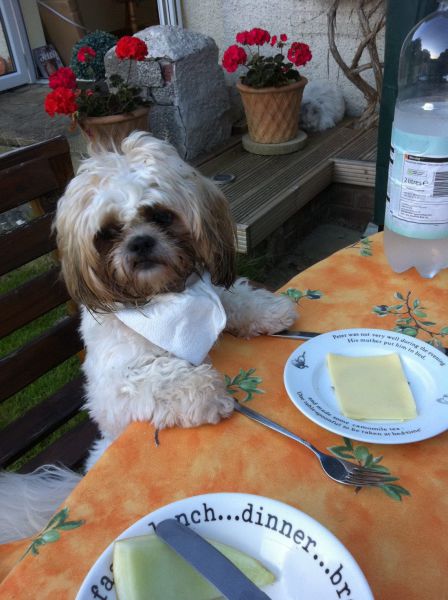 Morning Picdump
