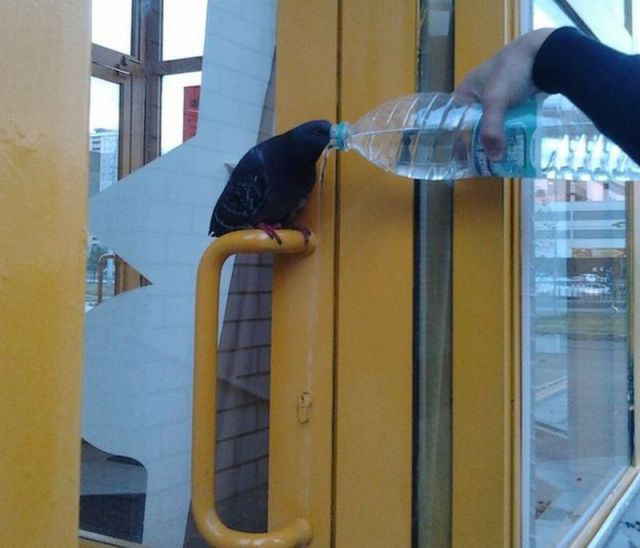 Morning Picdump